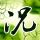 初中生淘到3本毒气战资料初鉴为真